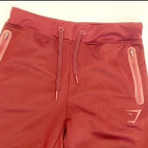 Gymshark Terrain Track Training Athletic Pants Bottoms Joggers: Port